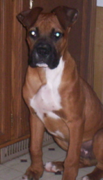 Chief3