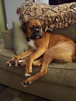 Chillin Boy