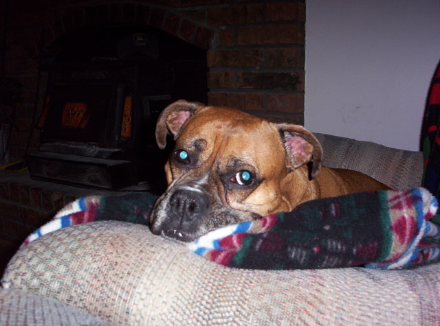 Chillin in Granpa's Chair