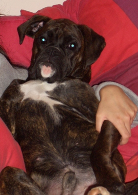 Chillin in mums bed
