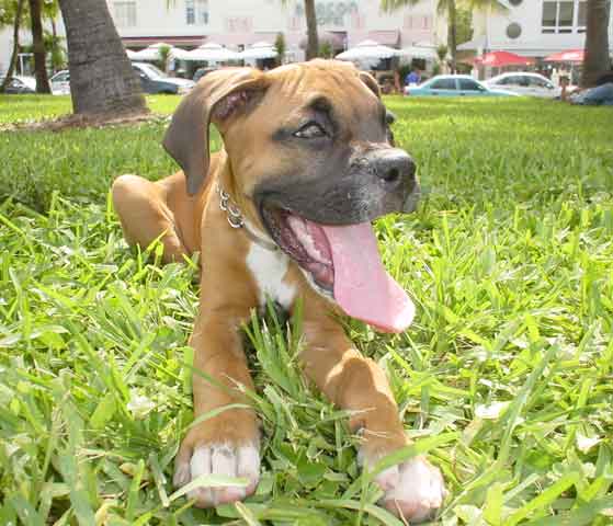 Chillin' in South Beach