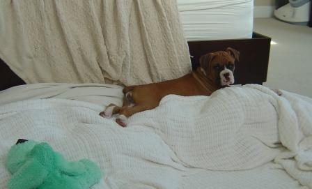 Chillin on Saturday Morning