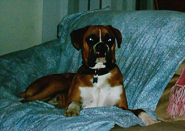 Chillin' on the couch