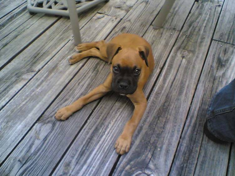 Chillin on the deck