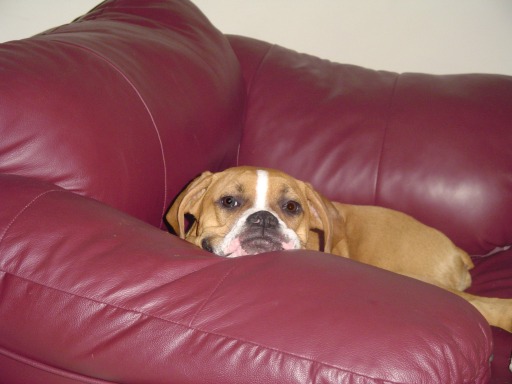 Chillin'
