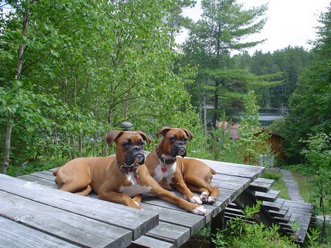 Chill'in