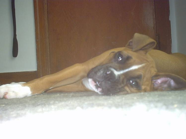 Chillin