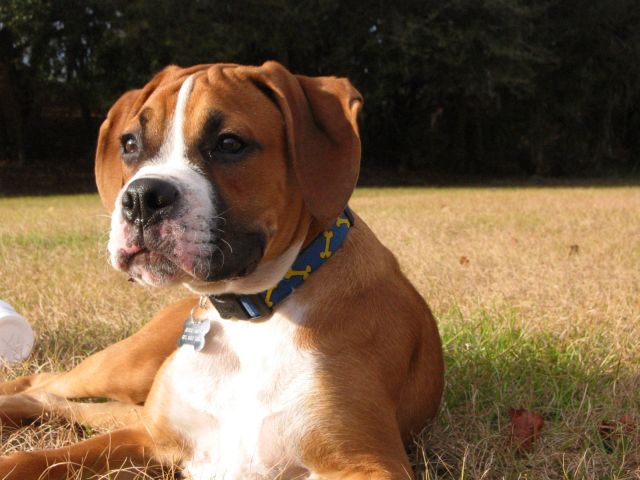 Chilling after a hard day