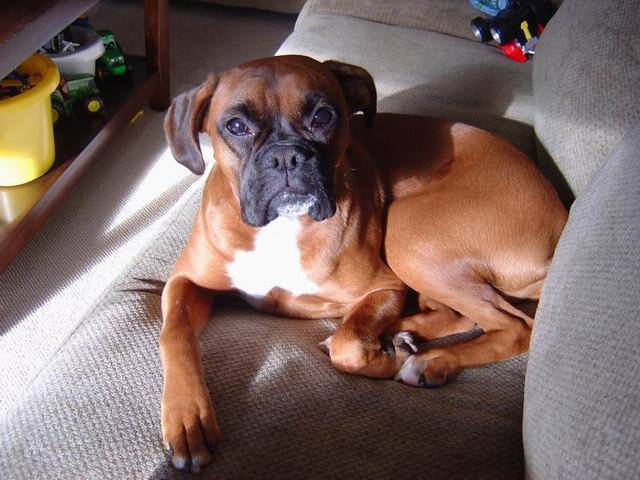 Chill'n on the sofa