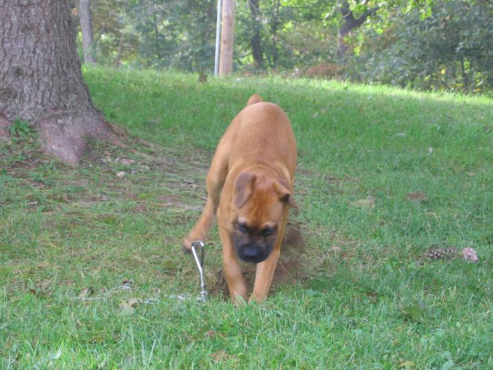 China...I'm digging for China!!!!