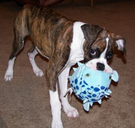 Chloe and her Fishy