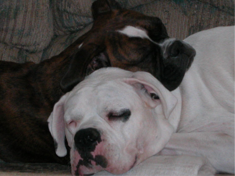 Chloe and Zander 9-02