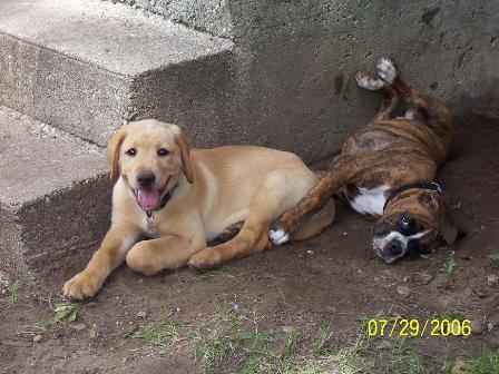 chloe and zeke porch
