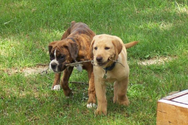 Chloe and Zeke