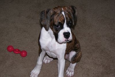 Chloe at 19 weeks