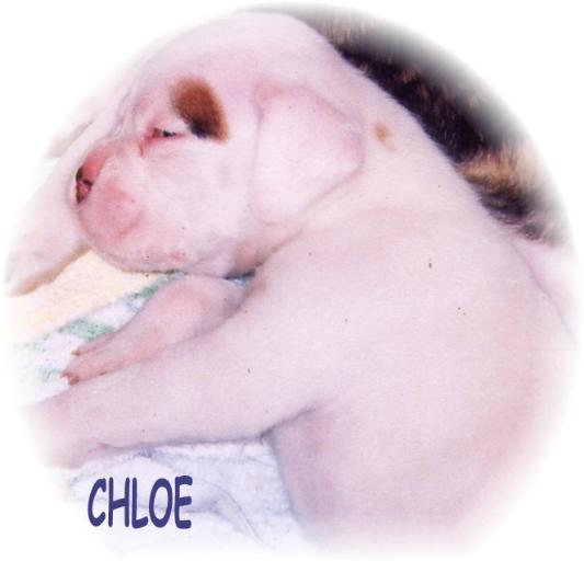 chloe baby