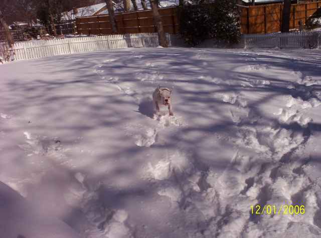 Chloe love's the snow!!