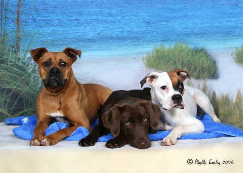 chloe, olive, mable