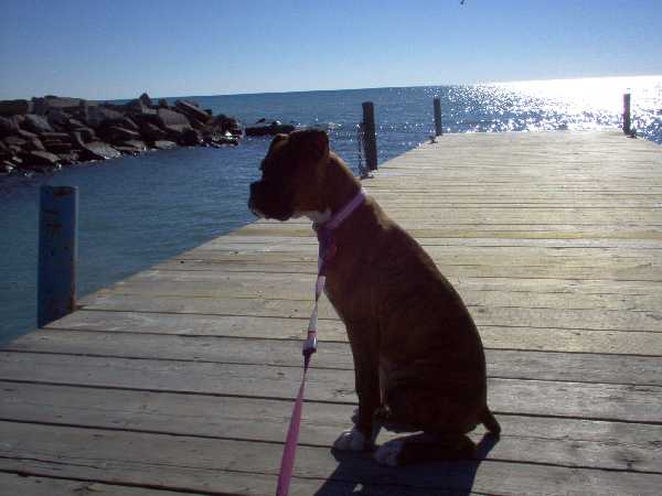 Chloe on the dock