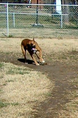 Chloe, Rounding the corner in First Place