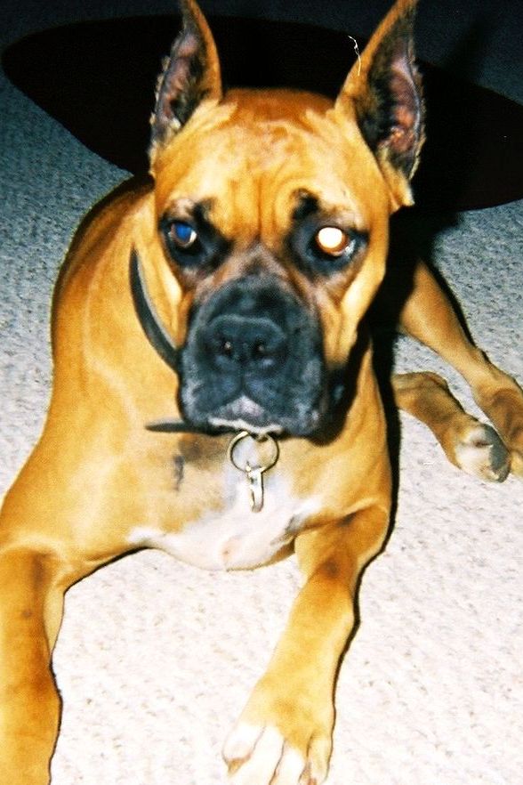 Chloe