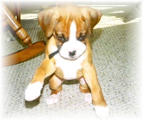 chloe !!!