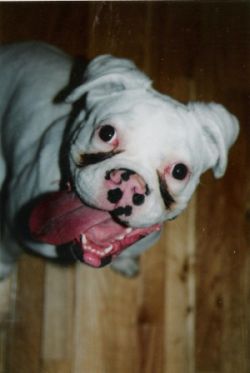 Chloe
