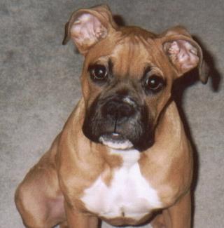 Chloe
