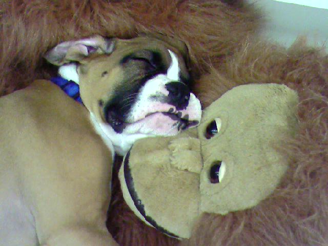 chopper