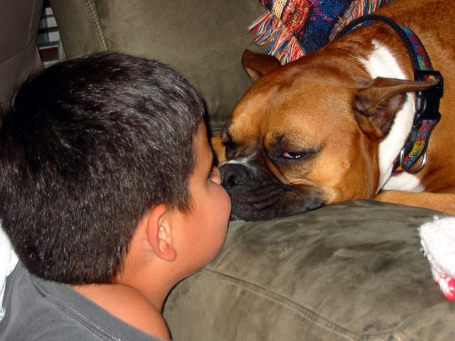 Christian kissing Rocky