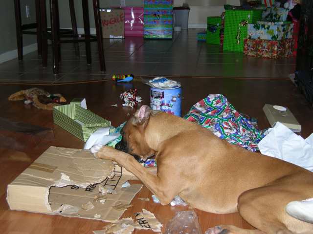 Christmas 06