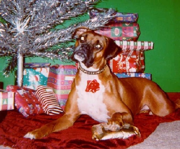 Christmas 2003