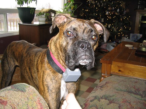 Christmas 2003