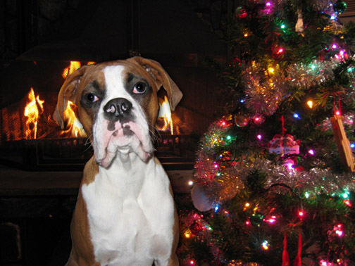 Christmas 2004