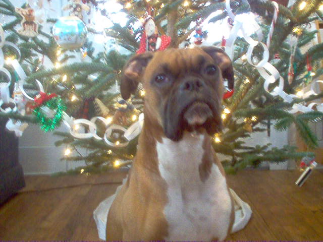 Christmas 2004