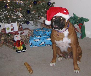 Christmas 2004