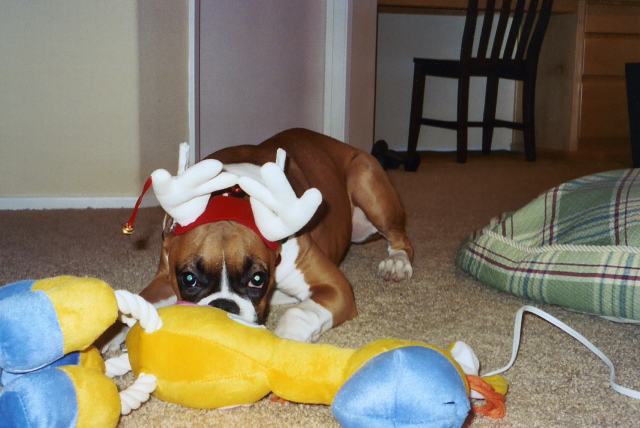 Christmas 2004
