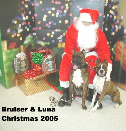 Christmas 2005