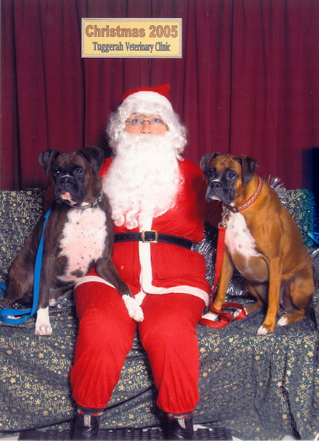 christmas 2005