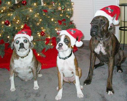 Christmas 2005