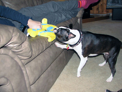 Christmas 2005