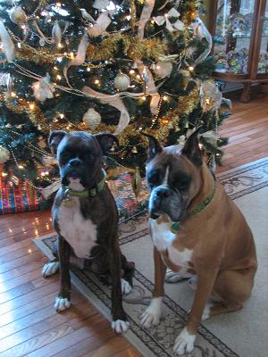 Christmas 2006 2