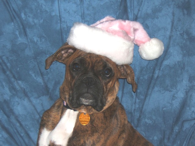 Christmas 2006 - pose #1