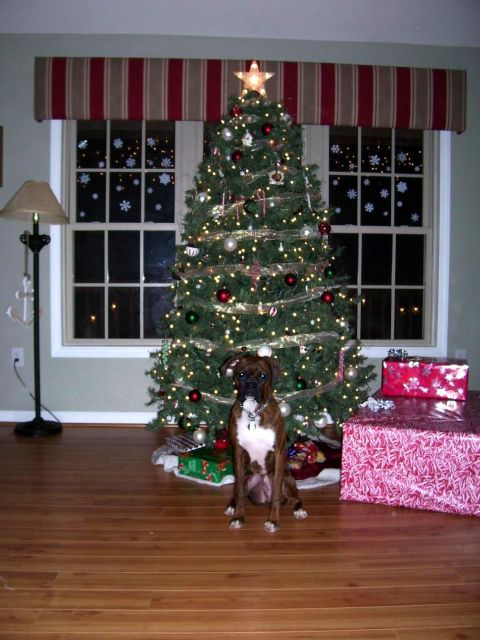 Christmas 2006