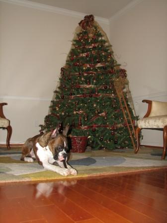 Christmas 2006