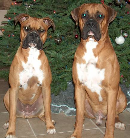 Christmas 2006