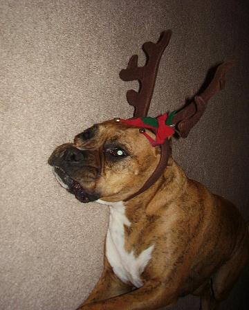 Christmas 2006
