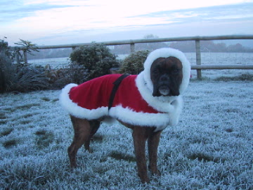 Christmas Bart