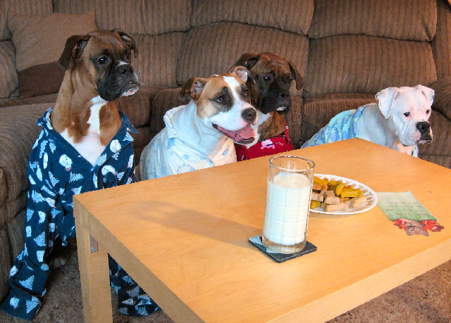 Christmas Card 2008