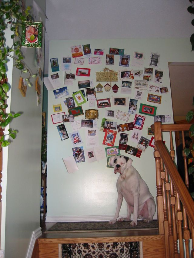 Christmas cards